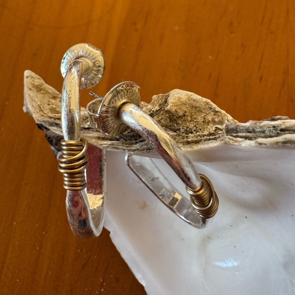 Silver and Gold Hoop Earrings